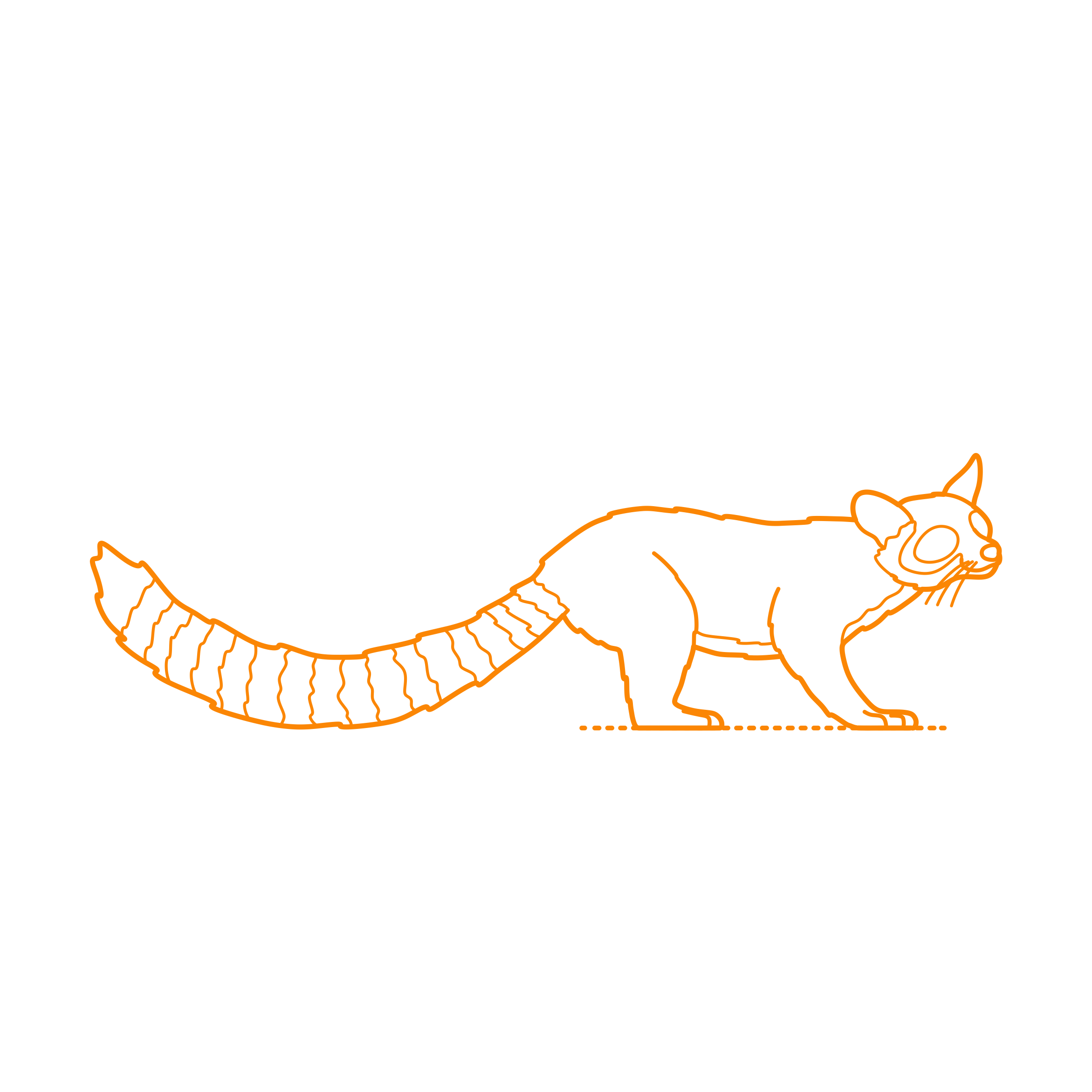 Animals Procyonids Cacomistle Line Art Svg Vector Free Vectors